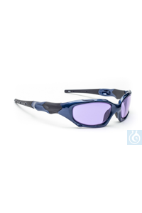 Modell 1205 Kunststoff-Sicherheitsbrille für Glasbläser - Phillips 202, Standard, preisgünstiger,...